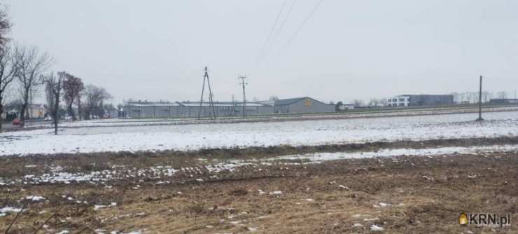 Zakroczym, ul. , Działki  na sprzedaż, 