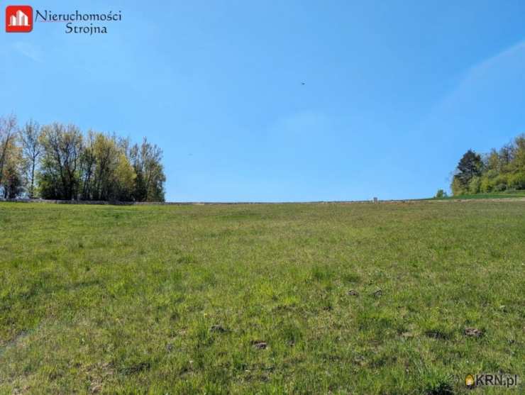 Działki  na sprzedaż, Grajów, ul. , 