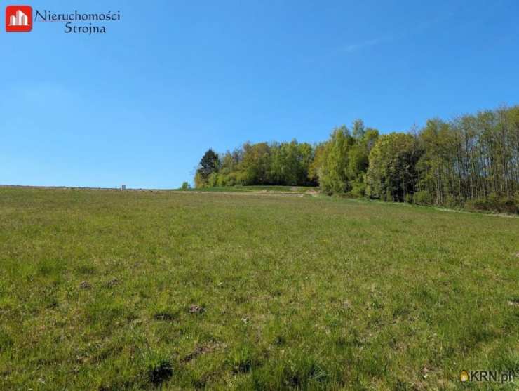 Działki  na sprzedaż, , Grajów, ul. 