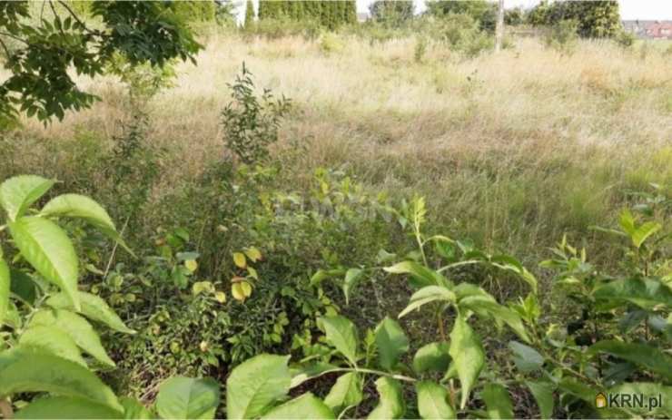 Działki  na sprzedaż, , Polkowice, ul. 