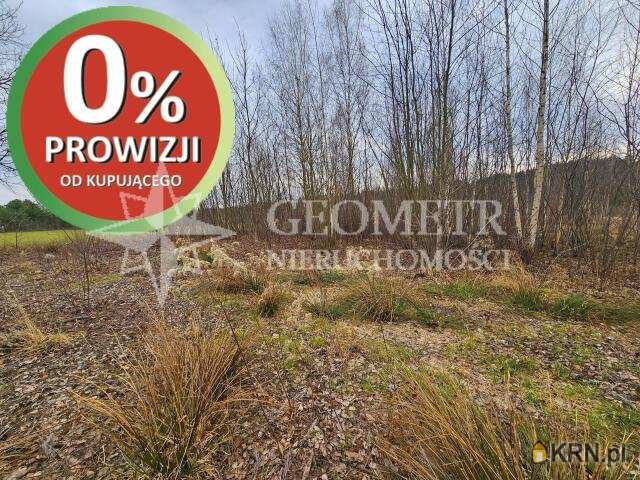 Działki  na sprzedaż, Rynia, ul. Główna, 