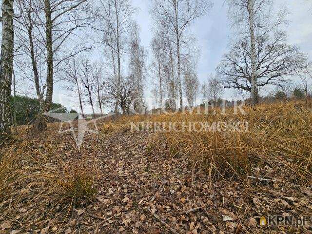 Działki  na sprzedaż, , Rynia, ul. Główna