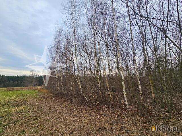 Rynia, ul. Główna, Działki  na sprzedaż, 