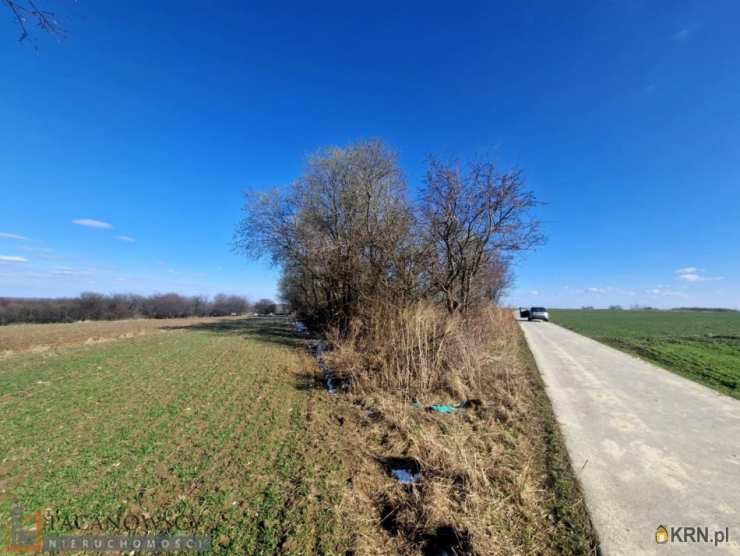 Skała, ul. , Działki  na sprzedaż, 