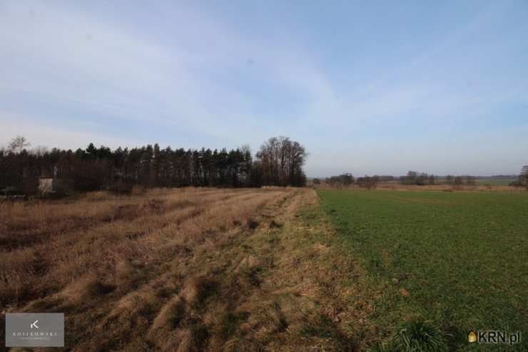 Działki  na sprzedaż, Dziadowa Kłoda, ul. , 