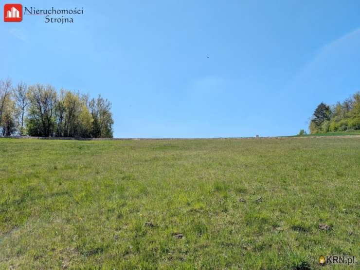 Działki  na sprzedaż, Grajów, ul. , 