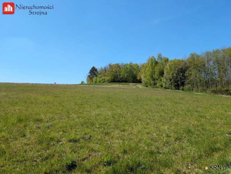 Działki  na sprzedaż, , Grajów, ul. 