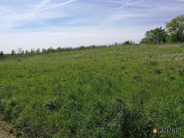 Działki  na sprzedaż, , Michałowice, ul. 