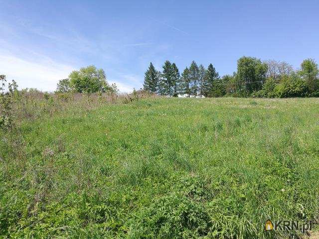 , Działki  na sprzedaż, Michałowice, ul. 