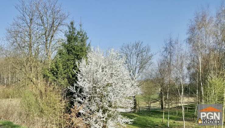 Gryfice, ul. , Działki  na sprzedaż, 