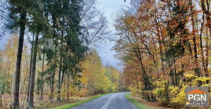 Gryfice, ul. , , Działki  na sprzedaż