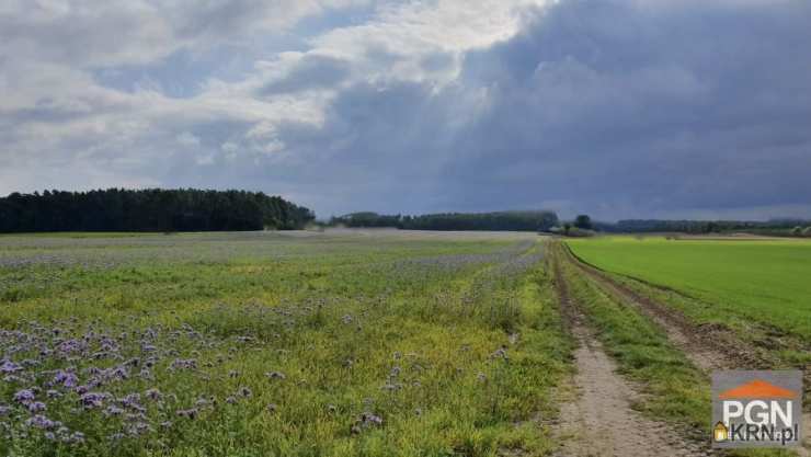 Pomorska Giełda Nieruchomości, Działki  na sprzedaż, Gryfice, ul. 