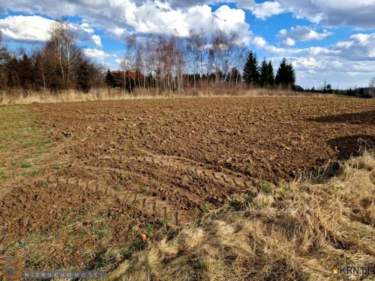 PACANOWSCY NIERUCHOMOŚCI, Działki  na sprzedaż, Łuczyce, ul. 