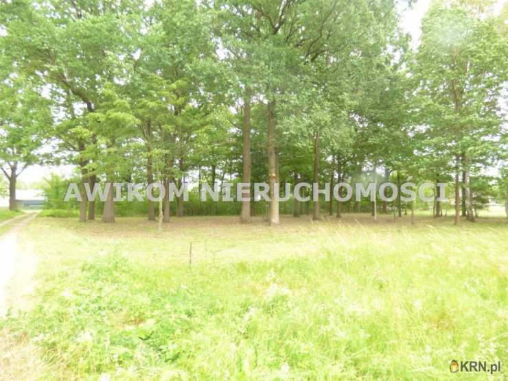 Działki  na sprzedaż, , Rusiec, ul. 