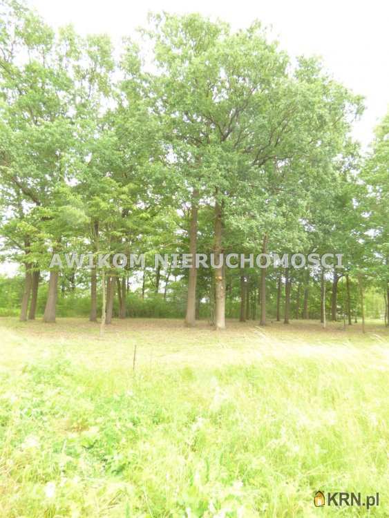 Działki  na sprzedaż, Rusiec, ul. , 