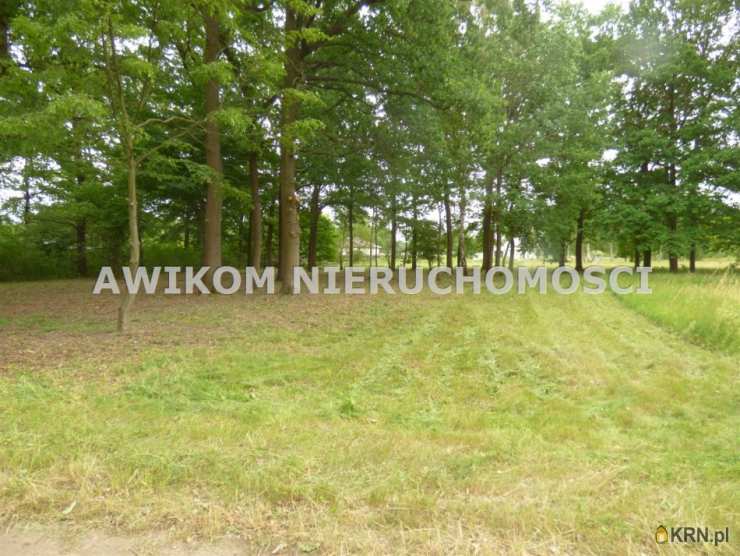 Rusiec, ul. , Działki  na sprzedaż, 