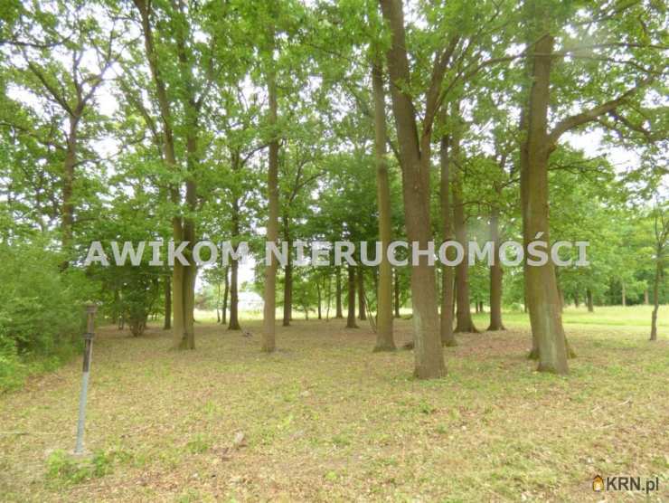 Rusiec, ul. , , Działki  na sprzedaż