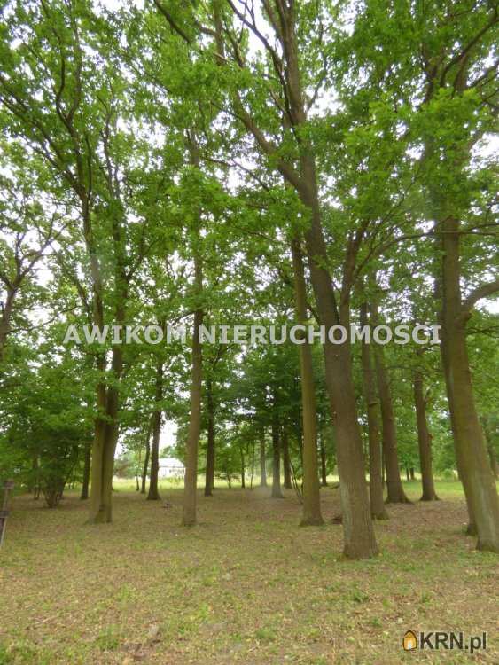 , Rusiec, ul. , Działki  na sprzedaż