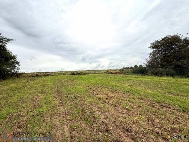 Działki  na sprzedaż, Rzeplin, ul. , 