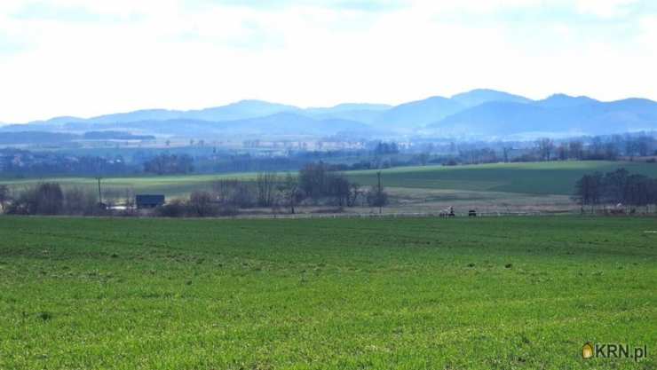 Działki  na sprzedaż, , Dziećmorowice, ul. 