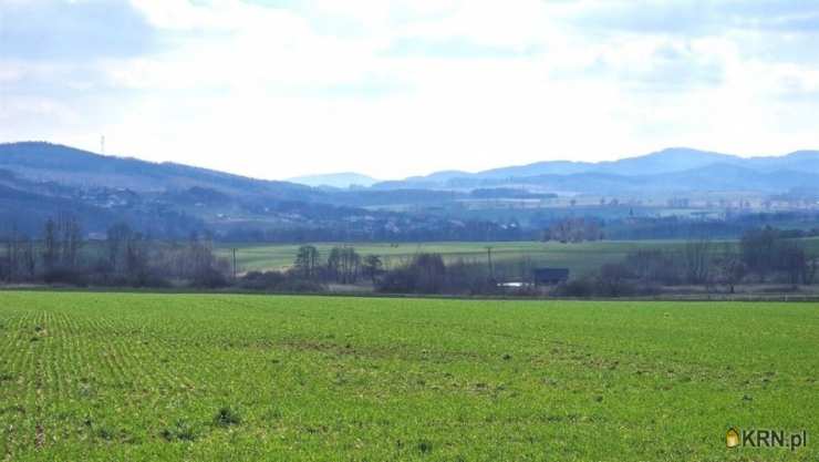 , Działki  na sprzedaż, Dziećmorowice, ul. 