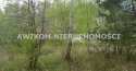 Działki na sprzedaż, Zalesie