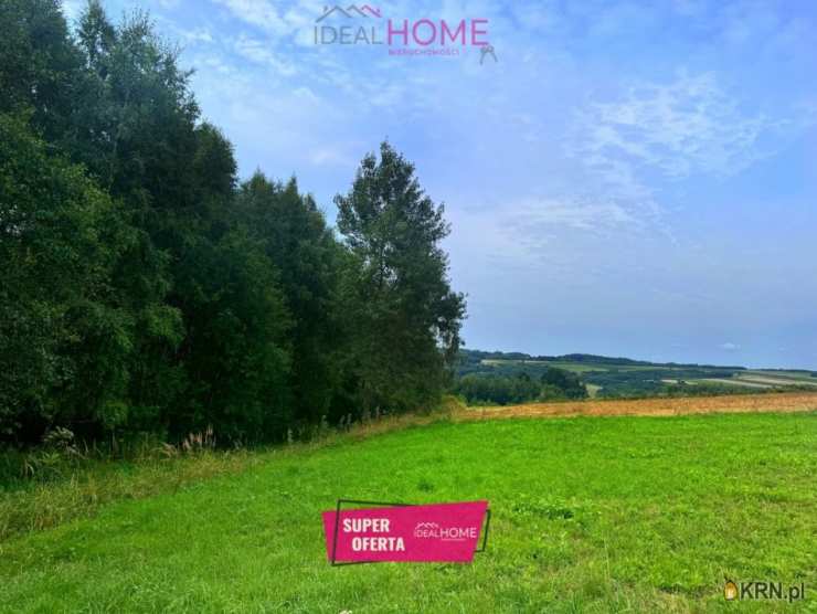 Działki  na sprzedaż, Jawornik-Przedmieście, ul. , 