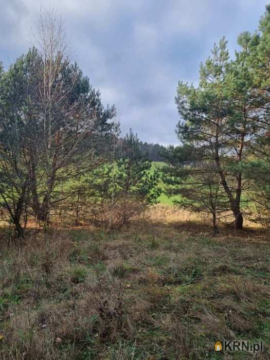 Działki  na sprzedaż, , Olsztynek, ul. 