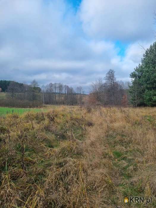 , Działki  na sprzedaż, Olsztynek, ul. 