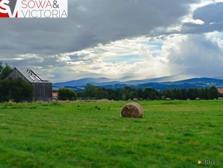 , Działki  na sprzedaż, Grudza, ul. 