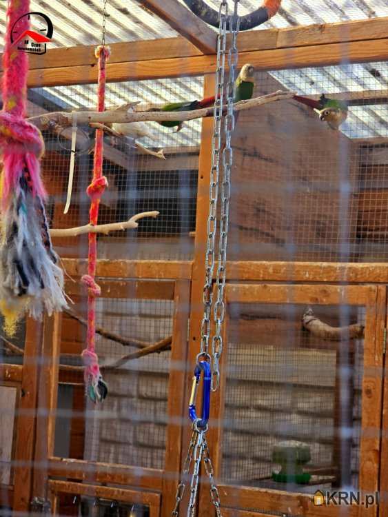 , Głodowo, ul. , Działki  na sprzedaż