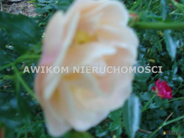 Działki  na sprzedaż, Kady, ul. , 