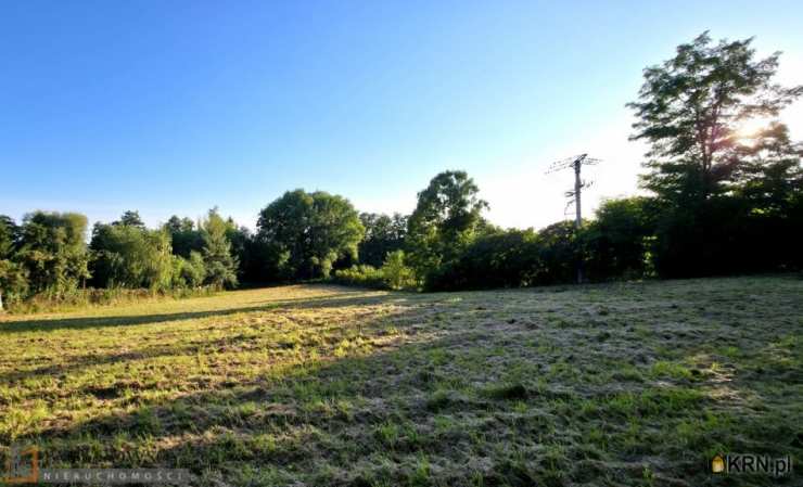 Dziekanowice, ul. , Działki  na sprzedaż, 