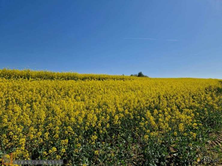 Sułkowice, ul. , Działki  na sprzedaż, 