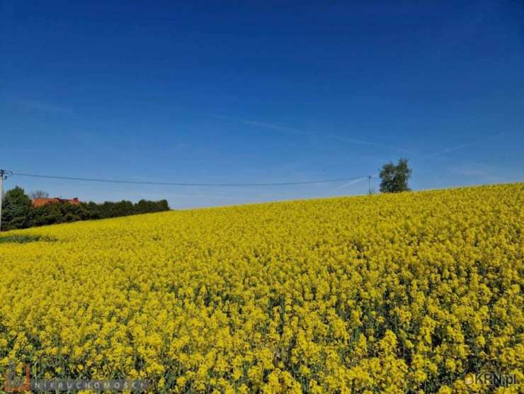 , Działki  na sprzedaż, Sułkowice, ul. 