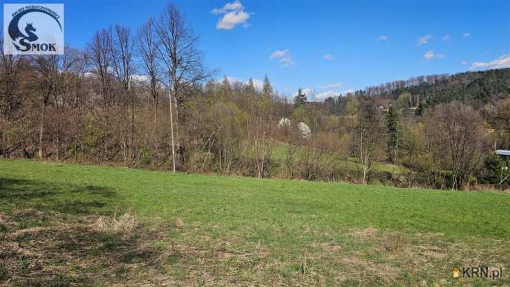 Działki  na sprzedaż, Czasław, ul. , 