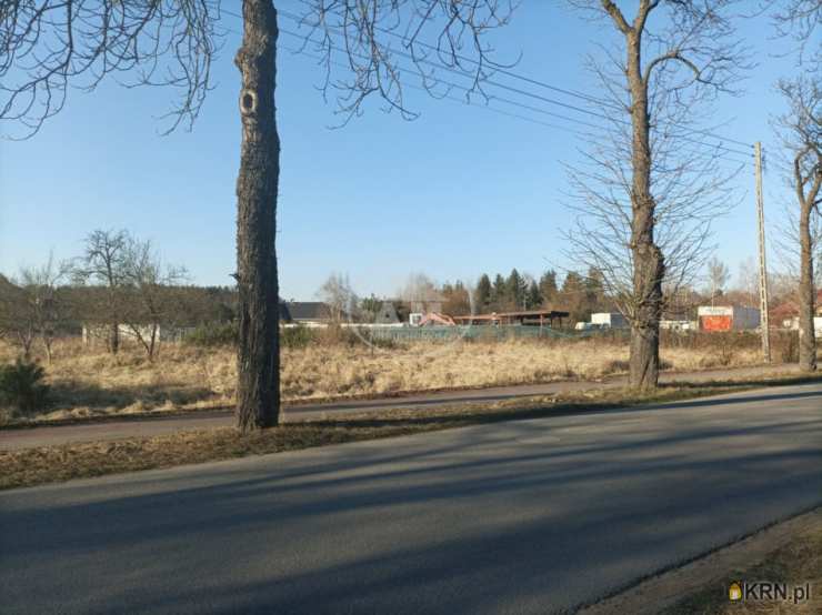 A.M.NIERUCHOMOŚCI Izabela Mateuszuk, Działki  na sprzedaż, Wołów, ul. Leśna