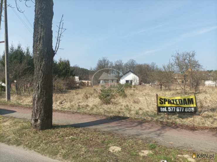 Działki  na sprzedaż, Wołów, ul. Leśna, 