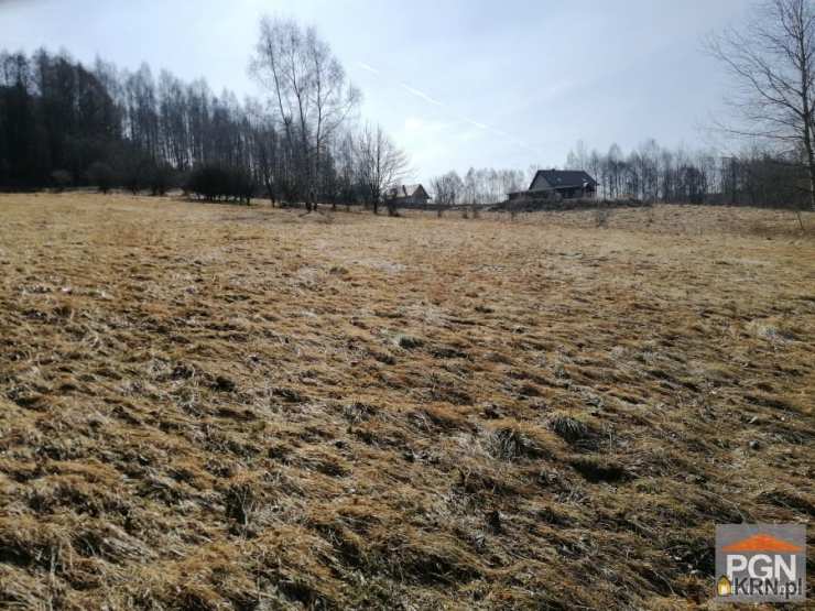 Działki  na sprzedaż, Kocioł, ul. , 
