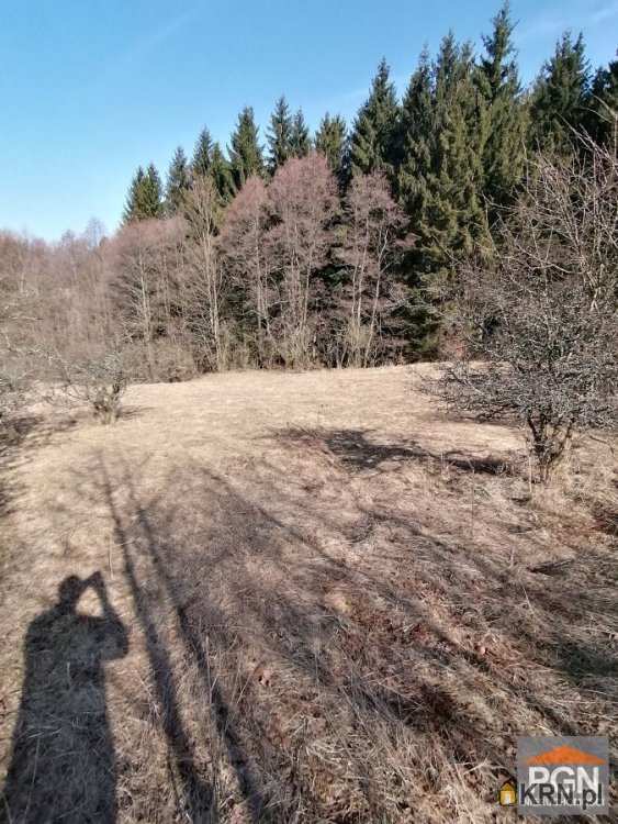 , Działki  na sprzedaż, Kocioł, ul. 