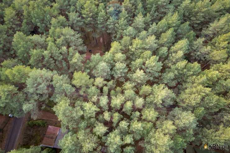 Łosie, ul. , Działki  na sprzedaż, 