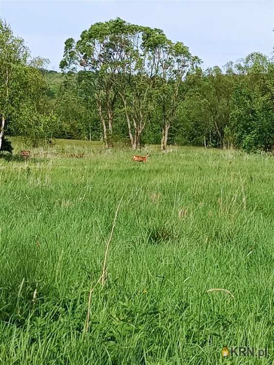 Działki  na sprzedaż, Głuszyca, ul. , 