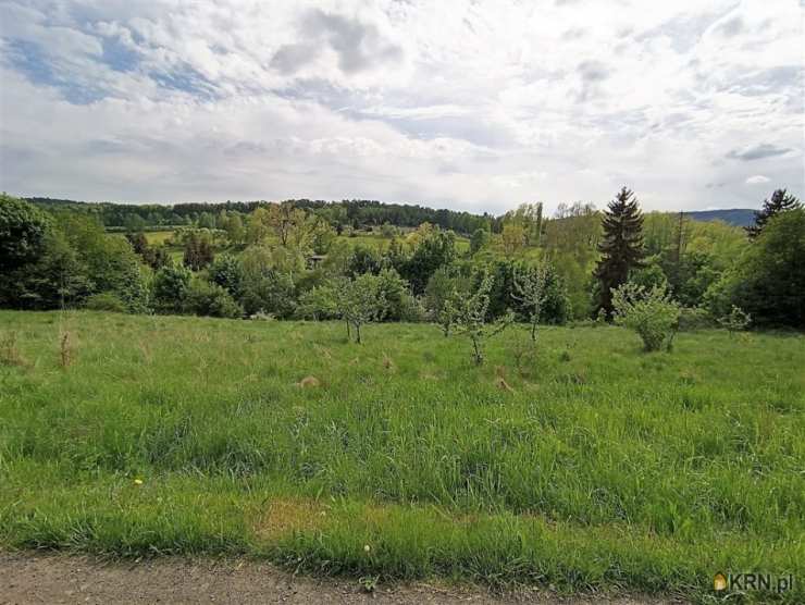 Działki  na sprzedaż, , Głuszyca, ul. 