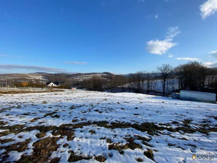 Ewa Szembek Biuro Nieruchomości, Działki  na sprzedaż, Jodłownik, ul. 