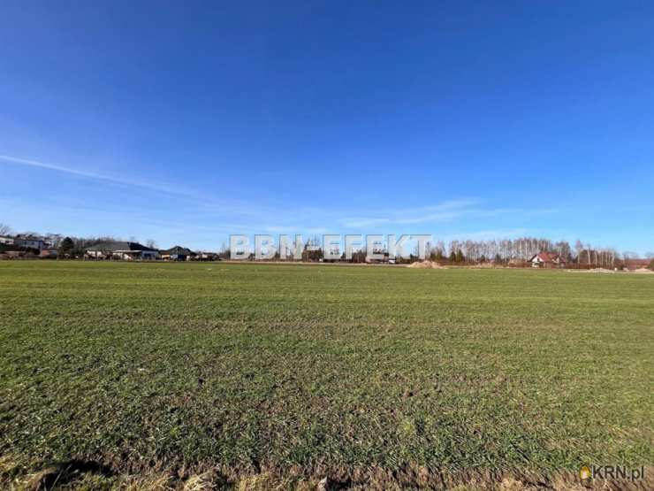 , Działki  na sprzedaż, Zaborze, ul. 