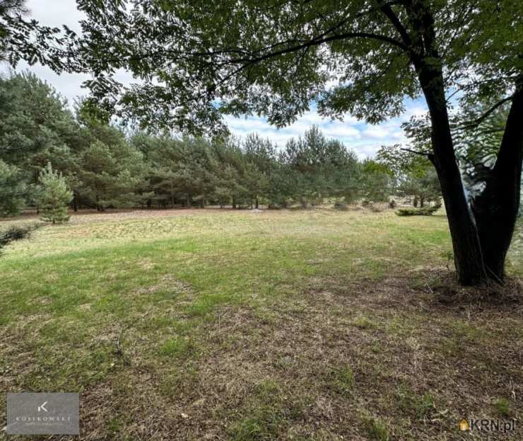 Działki  na sprzedaż, , Ligota, ul. 