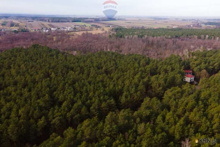 Działki  na sprzedaż, Ziewanice, ul. , 