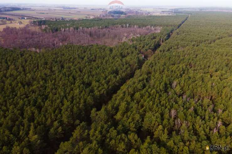 , Działki  na sprzedaż, Ziewanice, ul. 