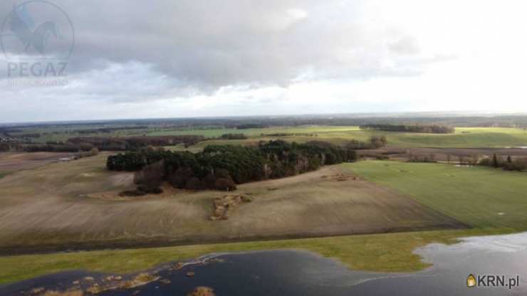 Działki  na sprzedaż, Pruszewiec, ul. , 