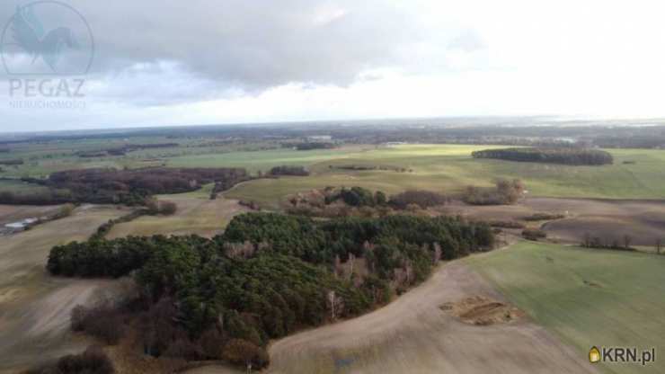 Pruszewiec, ul. , Działki  na sprzedaż, 
